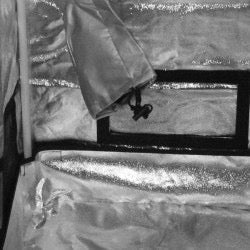 Kasvatusteltta | Kasviteltta BlackBox Silver - BBS V2 - 60x60x160cm - Cropper