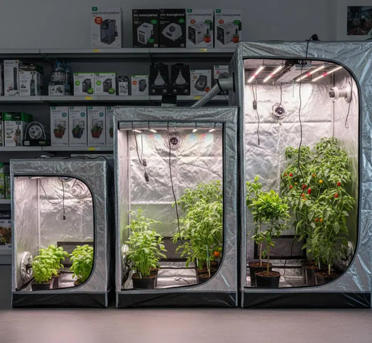 Erilaisia kasvatustelttoja myymälässä, esillä kasvien kanssa.