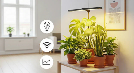 Moderni kuva led-kasvivalaisimesta huonekasveille suomalaisessa kodissa