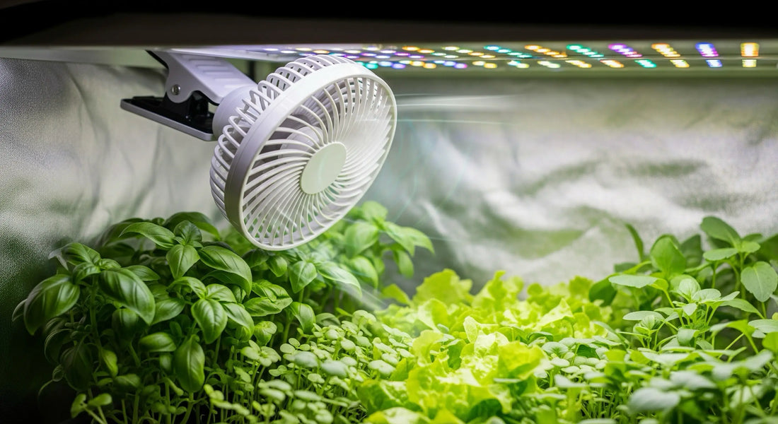 Klipsituuletin kasvatuksessa – Vinkit tehokkaaseen ilmanvaihtoon