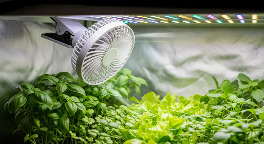 Klipsituuletin kasvatuksessa – Vinkit tehokkaaseen ilmanvaihtoon