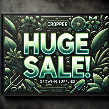 ⚡️ Ale! ⚡️ - Cropper
