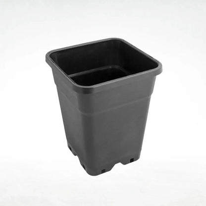Dutch Masters neliöruukku 1L, 3,5L, 7L, 14L, 18L tai 25L