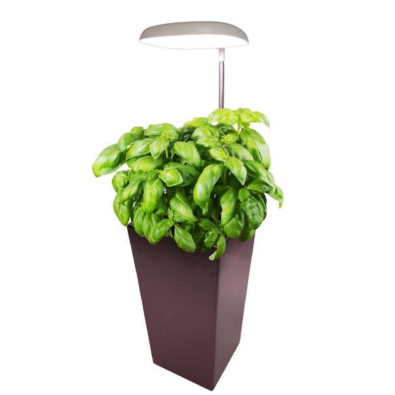 VG Garden Smart Grow LED 10W Small | Ruukkukasvien älykäs kasvivalo