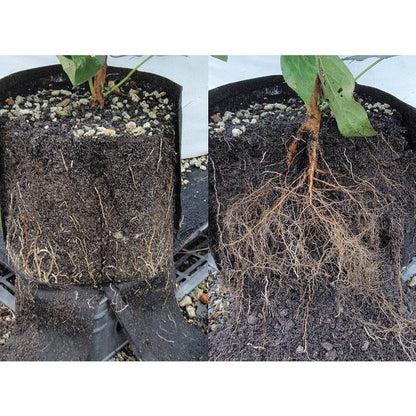 Root Pouch kangasruukku 30L | Charcoal harmaa | 35 x 30 cm