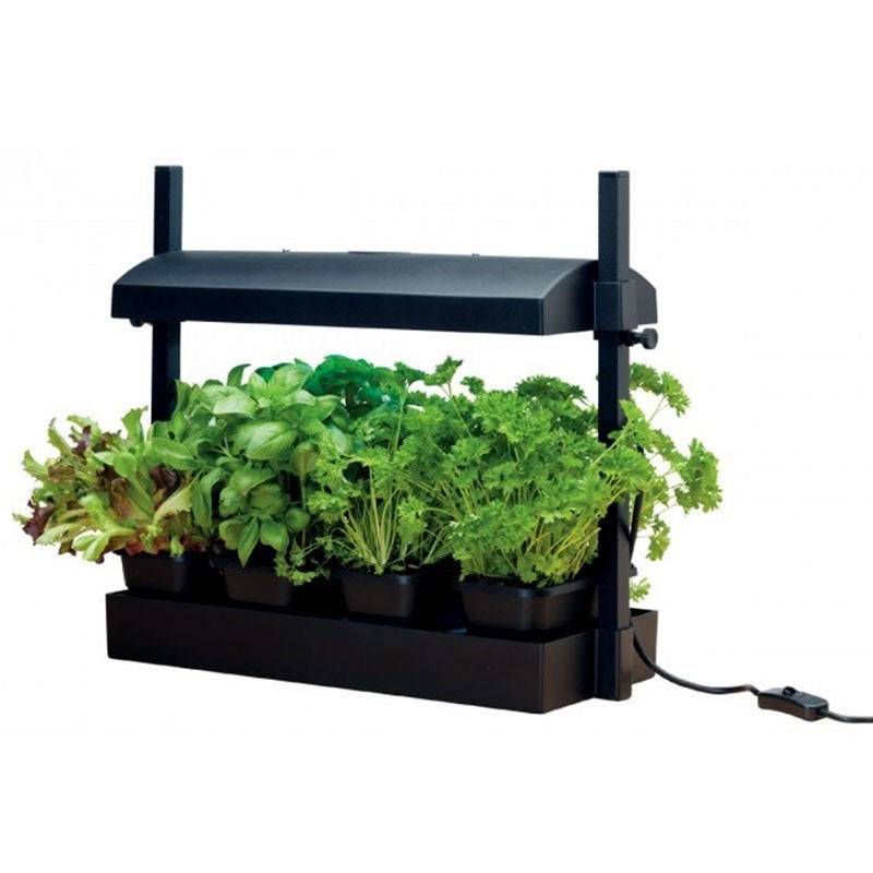 Minipuutarha musta | Keittiöpuutarha 11W Garland-lampulla
