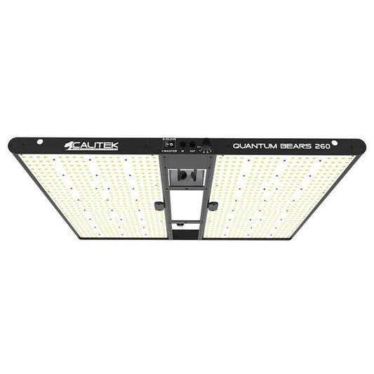 Calitek - LED Quantum Bears 260W
